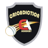 Cricadiction Academy