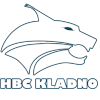 Kladno U19