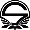  Singularity