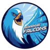 AdU Falcons (Women)