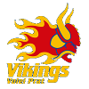 Vikings Volei Prat U19