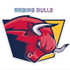 Raging Bulls Hyderabad