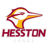 Hesston Larks