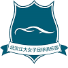  Wuhan Jiangda (Bayanlar)