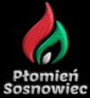 Plomen Sosnowiec U19 (Bayanlar)