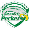 JR East Akita Peckers