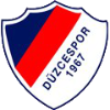 Düzcespor