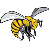 Alabama State (Bayanlar)