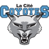 La Cite Coyotes
