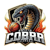 Crypto Cobra