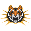 Idaho State Athletics (Bayanlar)