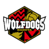Wolfdogs Nagoya