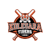 Kuleshra Tiger