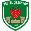 Kestel Çilek