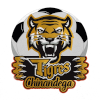 Tigres de Chinandega