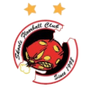 Skools Innebandy