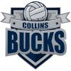 Collins Bucks