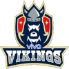 Vikings Greater Noida