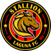 Stallion FC II