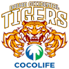  Davao Occidental Tigers