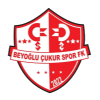 Beyoğlu Çukur Spor