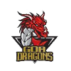  Goa Dragons