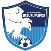 Erzurumspor FK