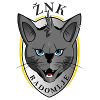 MFK Ruzomberok (W)