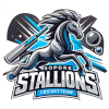 Sopore Stallions