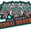 Dragons Amritsar