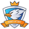 Kings Of Sky