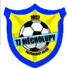  TJ Mecholupy