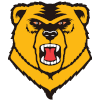 Western New England University