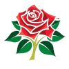 Lancashire (Bayanlar)