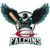 Gurjar Falcons