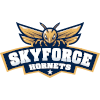Skyforce Hornets