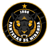 Panteras de Miranda
