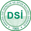 Ankara DSI (Bayanlar)