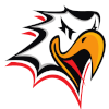 Vaasan Sport