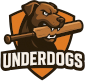Underdogs Ankleshvar
