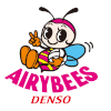  Denso Airybees (Women)