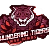Tigers Amritsar