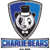 Charlie Bears