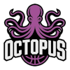IPBL Octopus