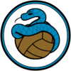 Leicester City (Lukapaja)