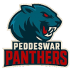 Peddeswar panthers
