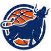 Zhejiang Pulai Fire Bull 3x3