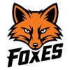 IPBL Foxes (Bayanlar)