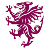 Somerset (Bayanlar)