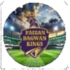  Faizan Bagwan